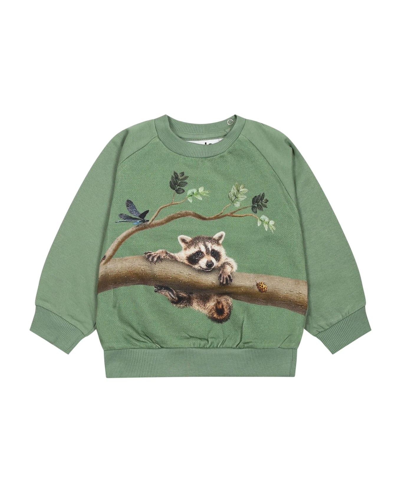 Molo Green Sweatshirt For Baby Kids With Animals